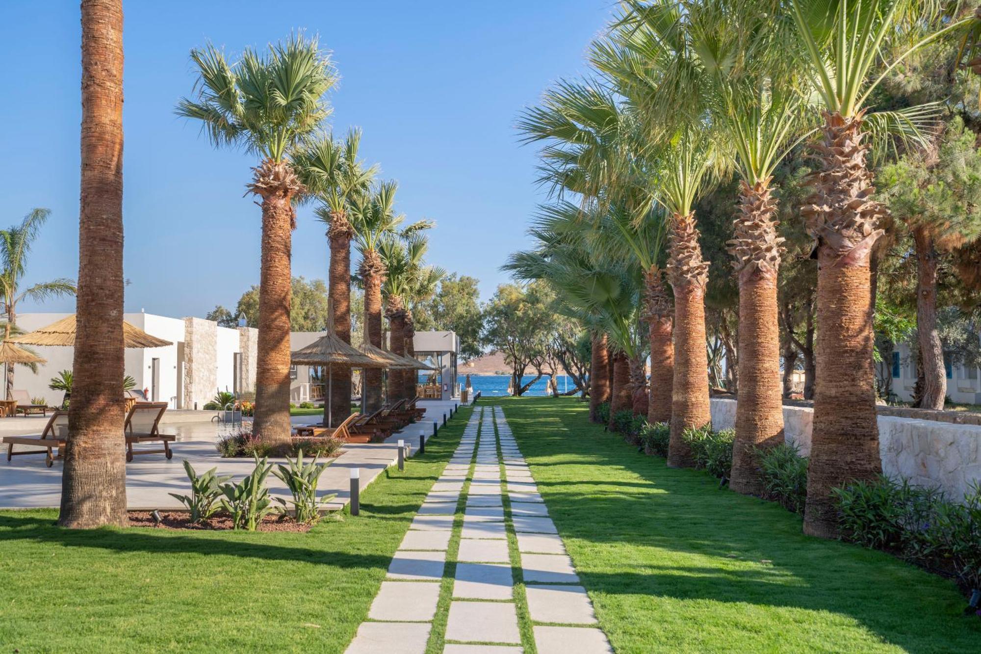Regia Mare Beach Hotel & Spa Bodrum Ortakent Eksteriør billede
